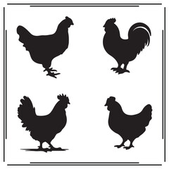 Hen silhouette, Hen illustration , Hen clipart, Hen vector ,Hen icon , black Hen, Hen illustration on white background, Hen vector illustration ,