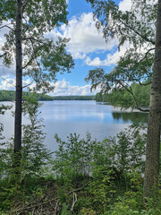 Beautiful view between trees to Lake Myhinjarvi, Rautalampi, Finland.