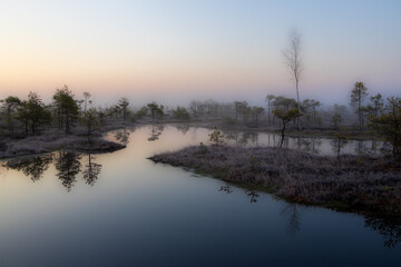 Sunrise, Misty morning, Foggy landscape, Swamp, Marshland, Wetlands, Nature, Golden hour, Moody, Atmospheric, Ethereal, Tranquil, Serene, Reflection, Water, Stillness, Dawn, Early morning, Sunlight
