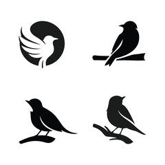 Bird logo on the branch