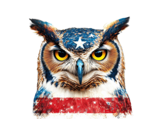 Owl design featuring American flag for patriotic decor and art on a transparent background, cut out