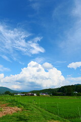 日本の原風景、夏の山里。遠野、岩手、日本。7月上旬。