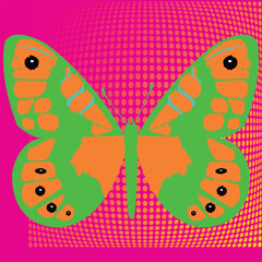 Butterfly multicolored logo
