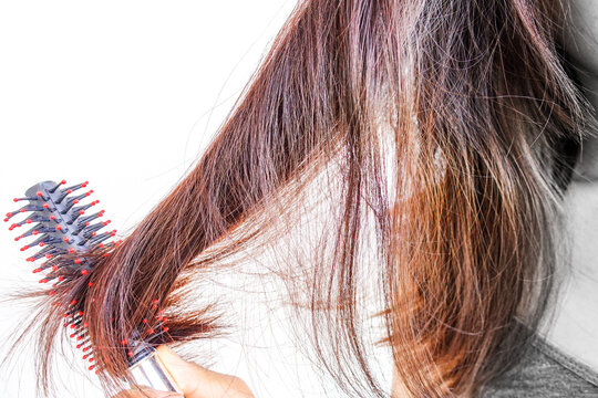 Combing with brush and pulls long hair.Daily preparation for looking nice, Long Disheveled Hair,Holding Messy Unbrushed Dry Hair In Hands.Hair Damage,Health And Beauty Concept,unhappy with dry hair