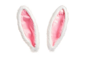 Easter white bunny ears isolated on transparent background