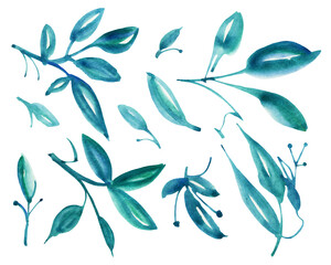 Leaves  isolated on a white background. Gouache drawing.  Hand-drawn illustration. 