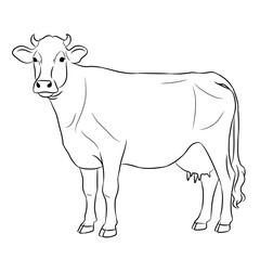 Cow cartoon, vector illustration, cow icon isolated on white background. Line art.