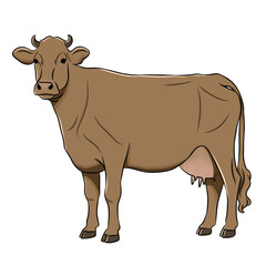 Cow cartoon, vector illustration, cow icon isolated on white background.	