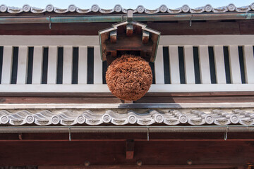 酒造の玄関に吊るされた杉玉のクローズアップ
Close-up of Traditional Cedar Ball Hanging at a Sake Brewery Entrance