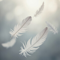 Delicate white feathers float gracefully in soft, blurred background, evoking sense of tranquility and lightness