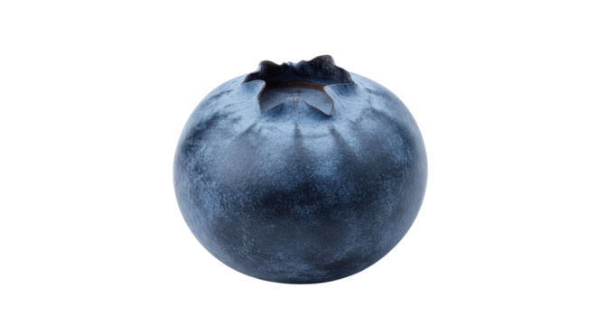 Close-up of a fresh blueberry showcasing its rich color and texture against a neutral background