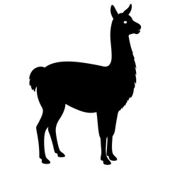  lama vector illustration of a silhouette