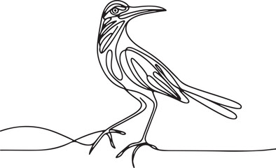 Roadrunner Bird Line Drawing Vector Art