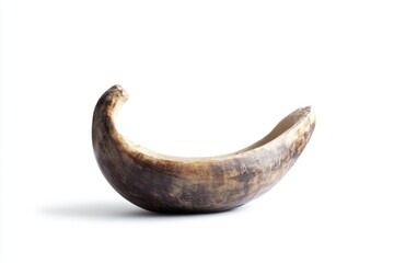 Isolated Horn Object Curvature on White Background a Natural Decorative Element
