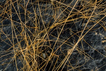 Abstract black marble texture