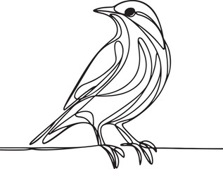 Elegant Starling Bird Line Art Vector