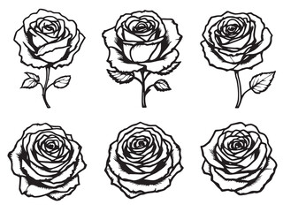Rose line art capturing delicate beauty with elegant simplicity 