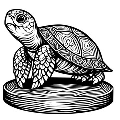 Intricate Turtle Illustration