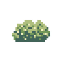 Fototapeta premium bush plant nature pixel art