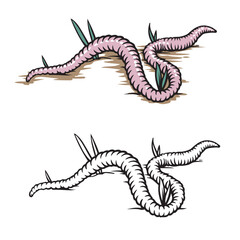 worm vector illustration. Drawing. Detailed. Realistic. Easy to edit. 