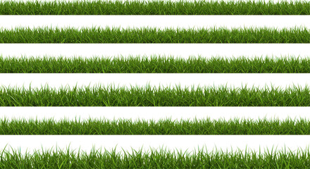 Lush green grass blades arranged in rows, ideal for backgrounds or nature-themed projects
