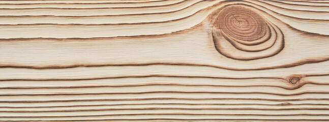 Scorched wooden plank with natural knot and burned grain texture. Horizontal close-up of charred wood surface. Decorative background.