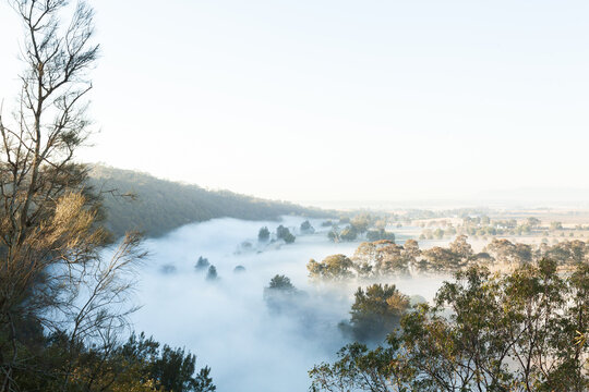 Mist rising off hunter river in early morning with farm paddocks beside