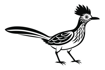 Fototapeta premium Roadrunner Bird Illustration, Crested Head, Bold Black and White, Sharp Edges