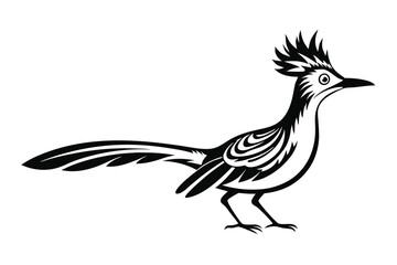 Fototapeta premium Roadrunner in Black and White 