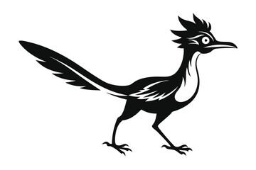 Roadrunner Silhouette with Crest and Distinct Tail on White Background