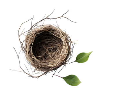 Bird's nest, on Png Format and Transparent Background