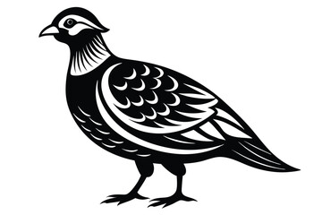 Stylized Quail Bird in Black and White 