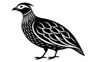 Stylized Quail Vector, Detailed Feather Markings, Black Silhouette, 