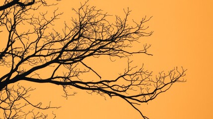 Obraz premium Silhouetted tree branches stretch across a vibrant orange sky, hinting at a serene, minimalist nature scene.