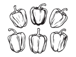 Bell Pepper line art minimalist vegetable drawing simple natural sketch 
