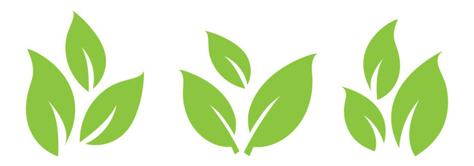 Green leaf icon set. Fill Leaves icon. Collection of green leaf. Elements design for natural, eco. elements for ui, ux, web. vector design on isolated background eps 10.