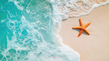 starfish on the beach