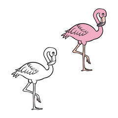 cartoon flamingo vector illustration. Drawing. Simple. Easy to edit. 