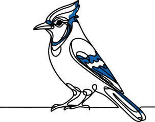 Elegant Blue Jay Bird Line Art Vector