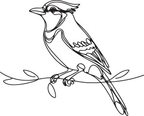 Elegant Blue Jay Bird Line Art Vector