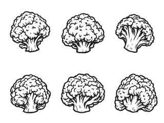Cauliflower line art delicate curves shaping natural veggie inspired flow 