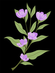 Branches of pastel bluish purple mini flowers on black background.