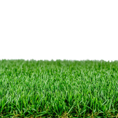 Obraz premium Vibrant green grass close-up outdoor natural setting cutout background bright environment nature concept