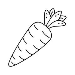 carrot icon, carrot vector illustration-simple illustration of carrot, perfect for carrot logos and icons