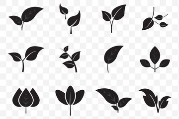 Twelve stylized black and white plant icons on a Transparent background. EPS 10.