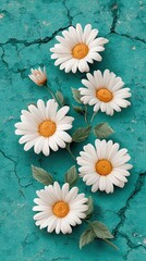 Obraz premium A vibrant arrangement of white daisies with yellow centers against a textured turquoise background, showcasing nature's beauty.