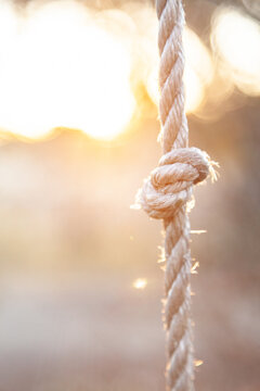 Knot in a pastel rope in sunset light