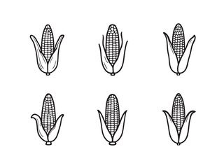 Corn line art vintage food drawing healthy agricultural produce sketch 