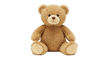 Isolated Teddy Bear