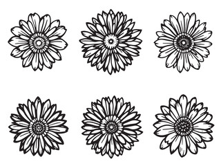 Craspedia Simple and Elegant Line Art Designs for Creative Projects 